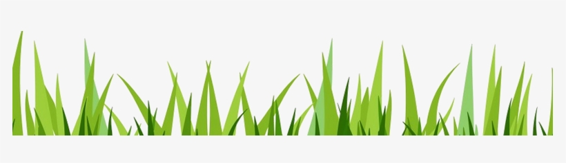 Next - Vector, transparent png