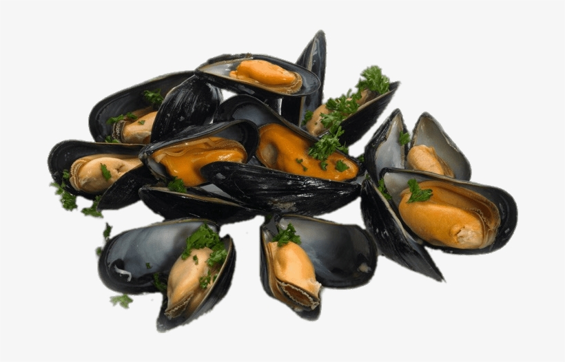 Cooked Mussels With Parsley - Mussel, transparent png
