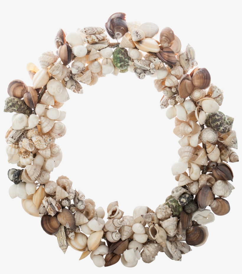Seashell Company 11" Shell Wreath - Small Seashells, transparent png