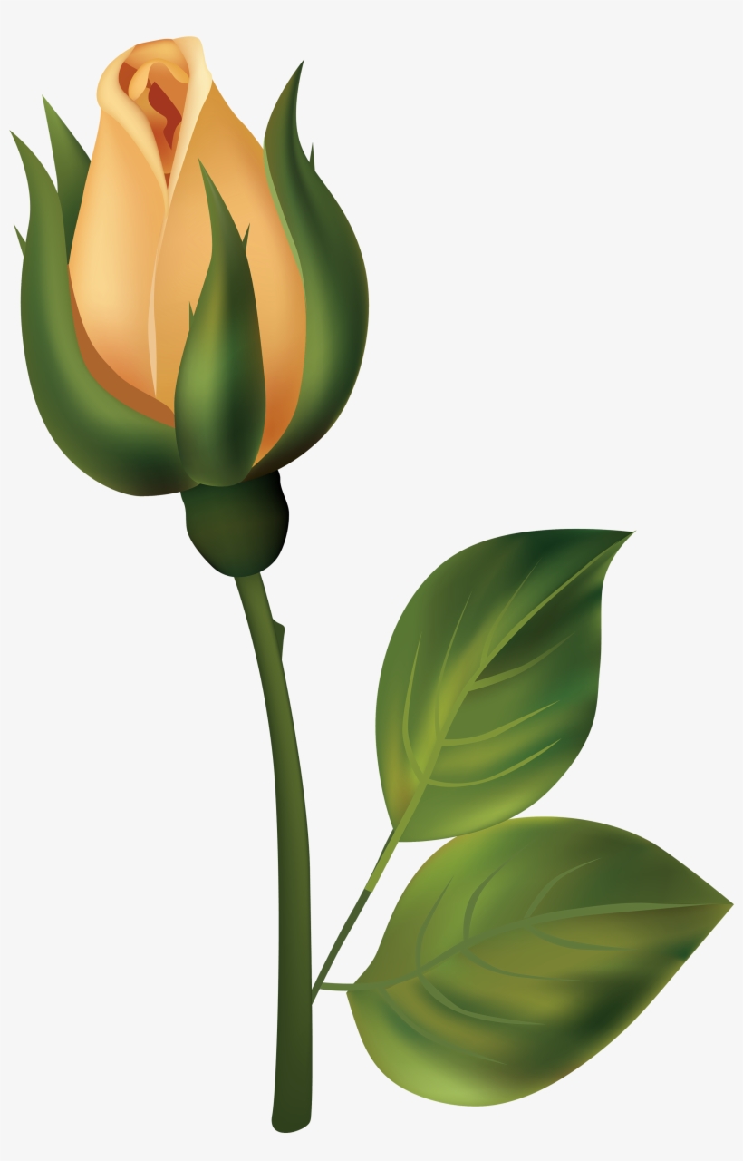 Yellow Rose Bud Png Clipart - Bud Clipart, transparent png
