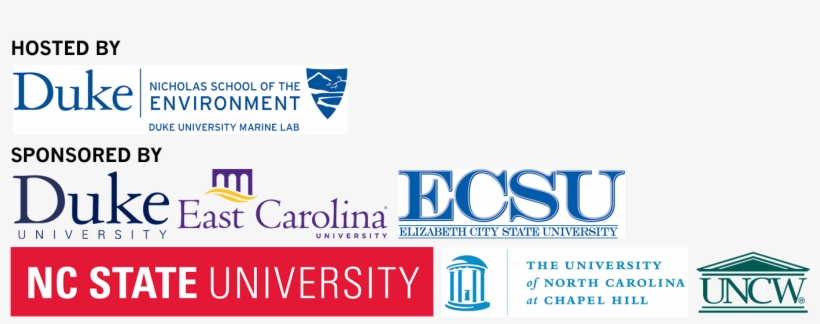 Graphic Design, transparent png