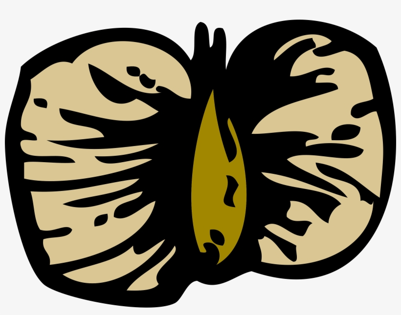 Birch Clipart Free For Download - Bjørk Frø, transparent png