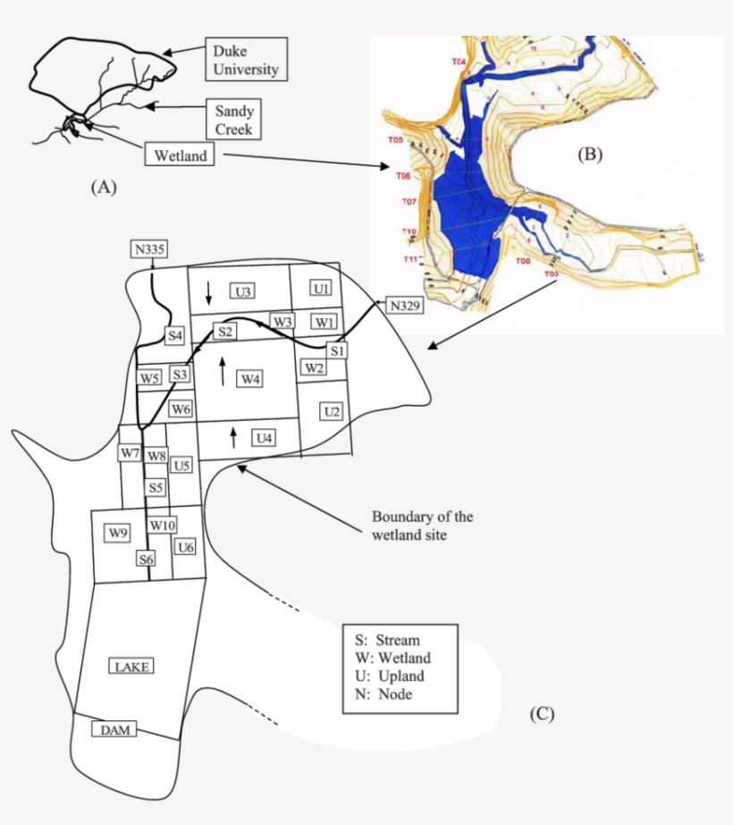 A) Duke University And Wetland Site Watersheds In Durham, - Diagram, transparent png