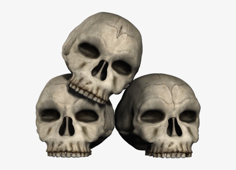 Transparent Skulls, transparent png