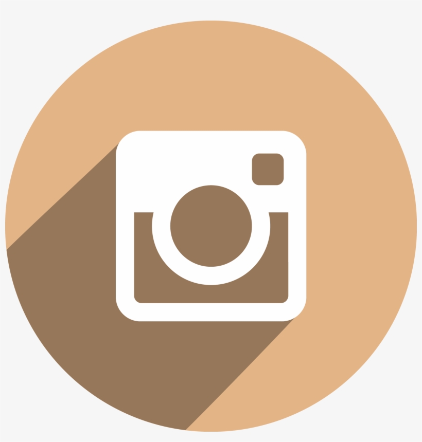 Instagram Flat Icon Vector