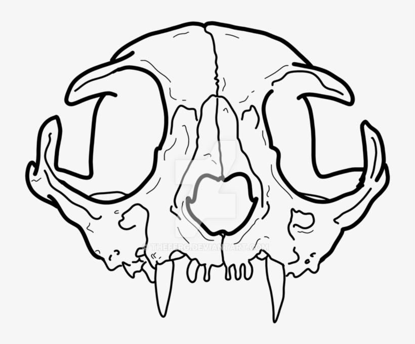 Skull And Crossbones Png Transparent Background 14 - March 20, transparent png