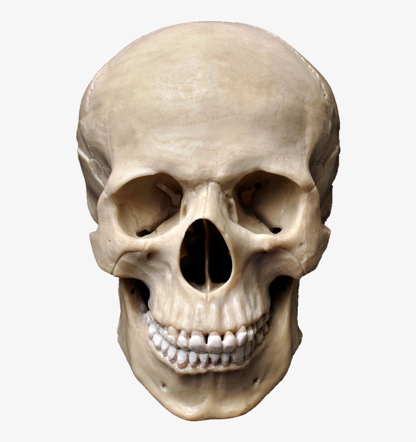Riza Peker Canvas Wall Art - Skeleton, transparent png