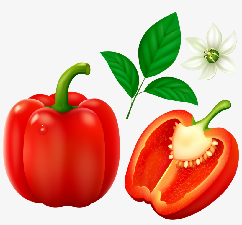 Bell Peppers Vegetables - Vegetables Clip Art, transparent png