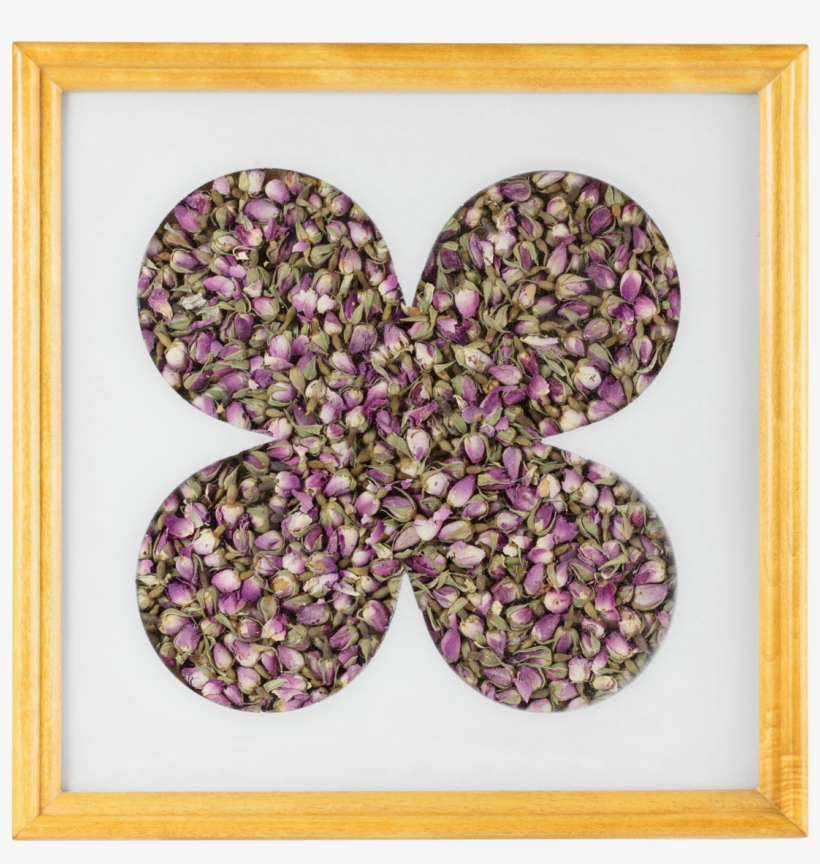 Picture Of Rosebud Tray - Picture Frame, transparent png