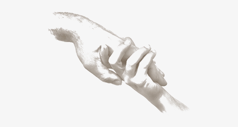 Clip Library Stock Bromhead Chariy Charity Hands Illustration - Charitable Organization, transparent png