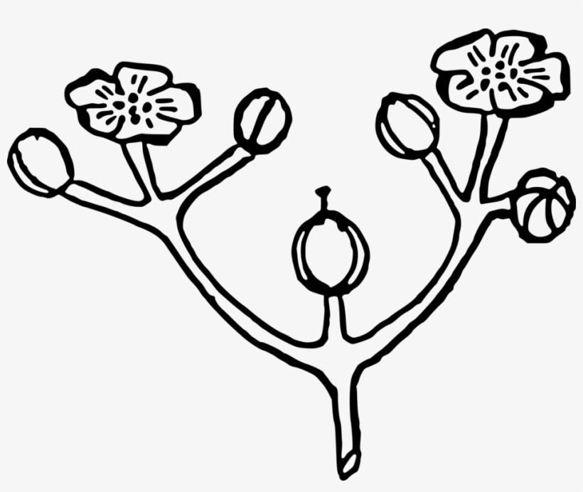 Flower Bouquet Floral Design Rose Bud, transparent png