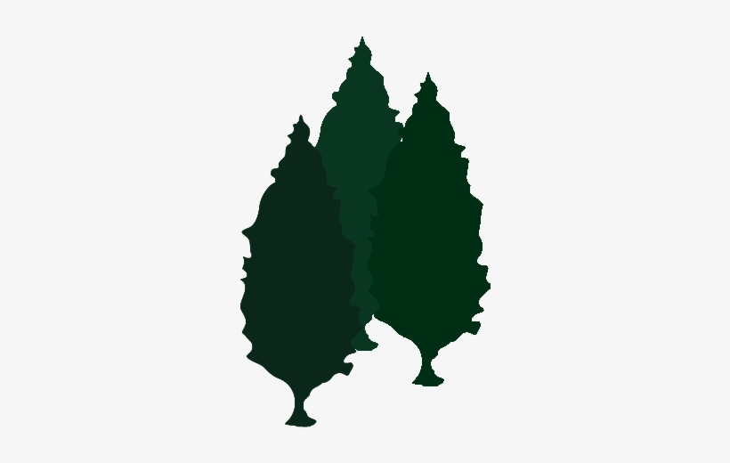 Dart's Tree Farm Logo 300x450 PNG Download PNGkit