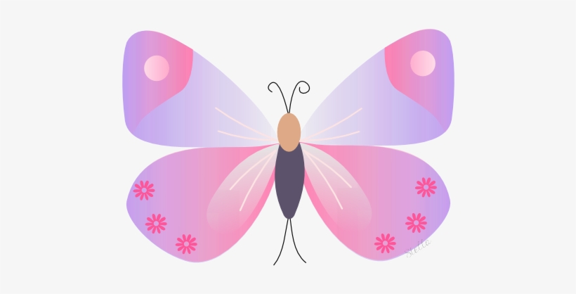 Related Wallpapers - Photograph, transparent png