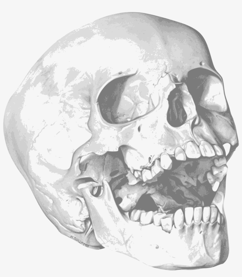 This Free Icons Png Design Of Calavera, transparent png