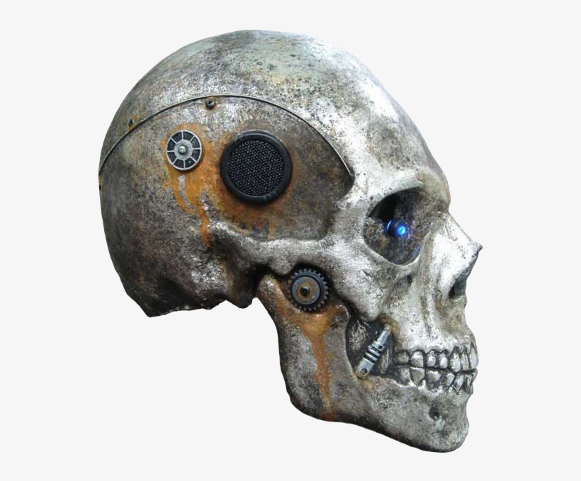 Skull, transparent png