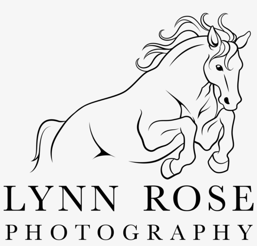 Lynn Rose Black - Portable Network Graphics, transparent png