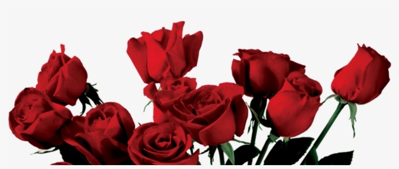Rose Clipart Png Tumblr Pencil And In Color Rose Clipart - Aesthetic Rose Transparent, transparent png