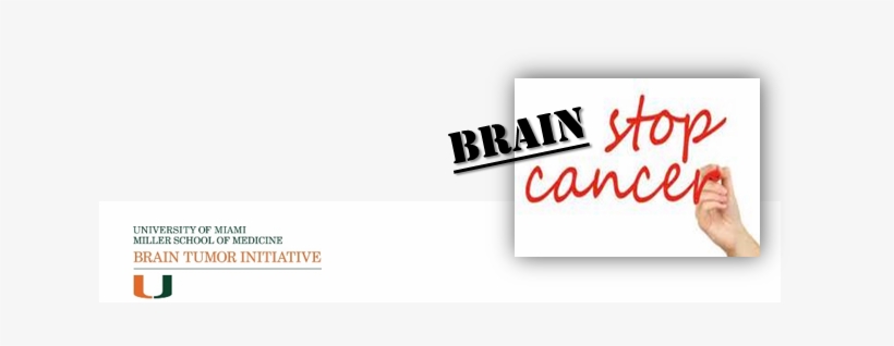 The University Of Miami Brain Tumor Initiative - Carmine, transparent png