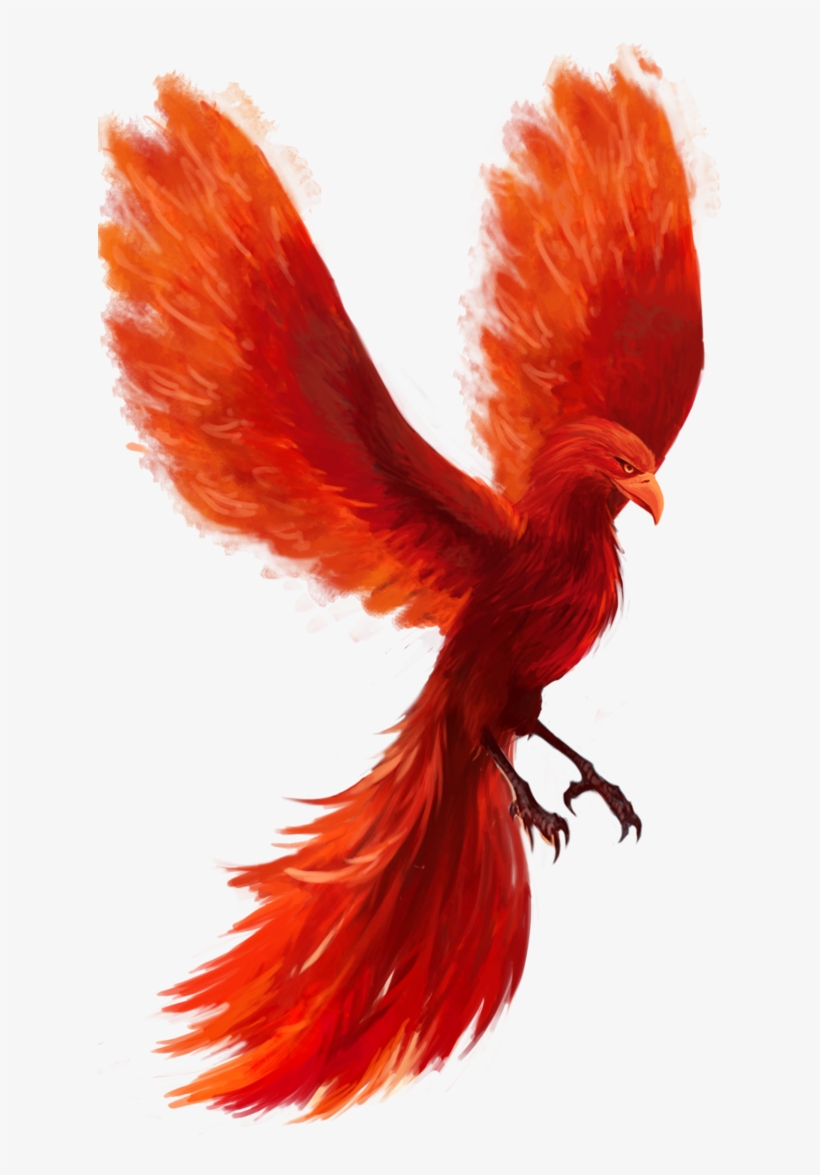 Phoenix Png Hd - Macaw, transparent png