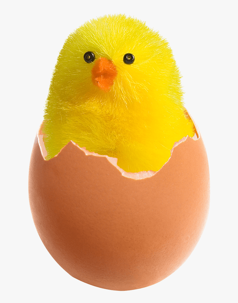 Chicken In Broken Egg Png Image - Chicken In Egg Png, transparent png