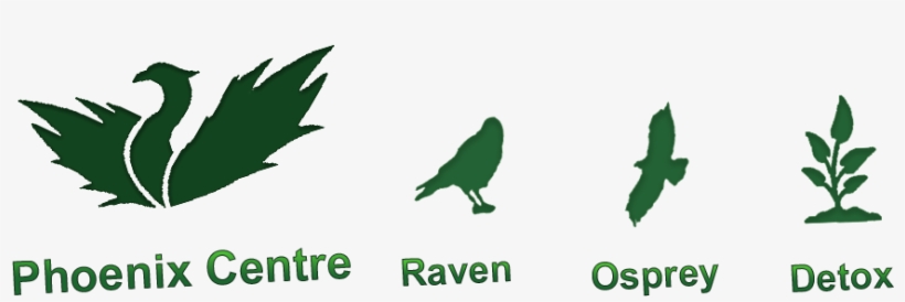 Phoenix Centre - Falcon, transparent png