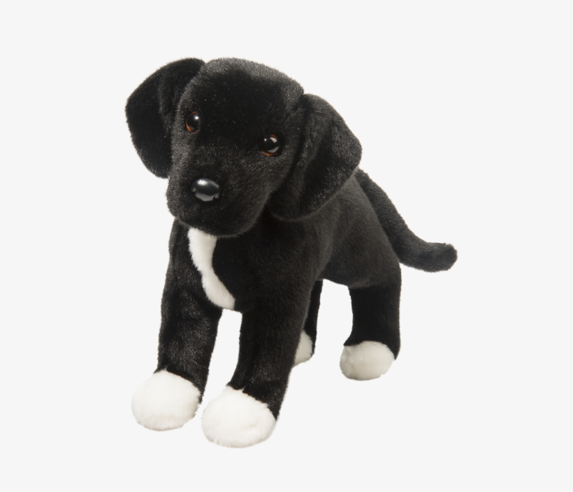 Twister Black Lab/pit Bull Mix - Black Lab Pit, transparent png