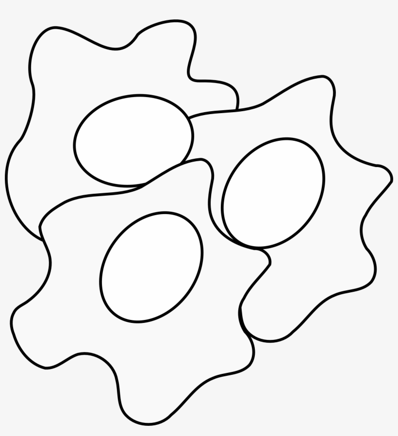 Fried Egg Clip Art At Clker - Eggs Clip Art, transparent png