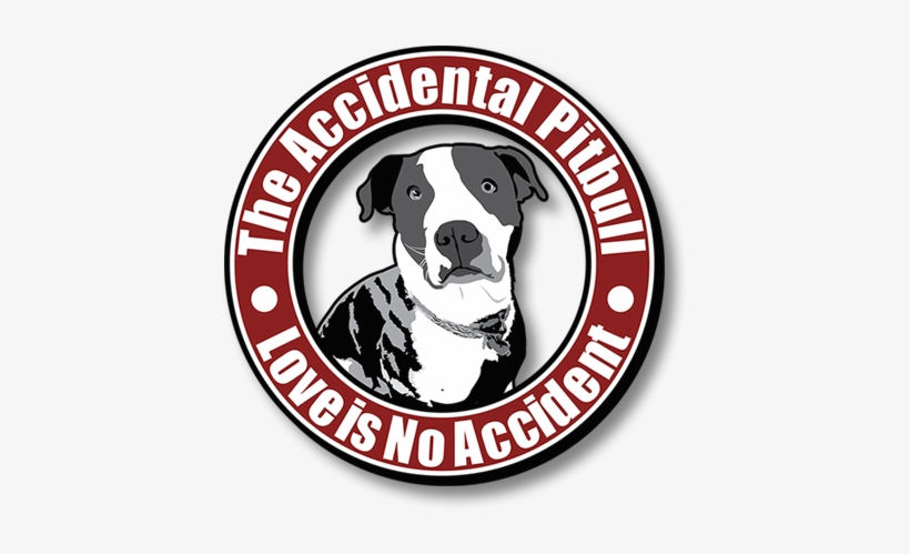 Pit Bull, transparent png