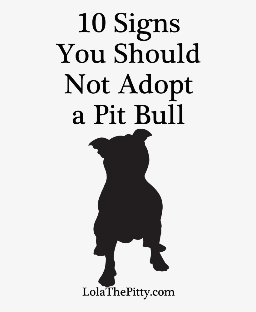 10 Signs You Should Not Adopt A Pit Bull - Verisign, transparent png