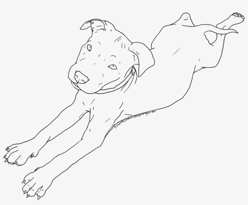 Drawn Pit Bull Red Nose - Pit Bull, transparent png