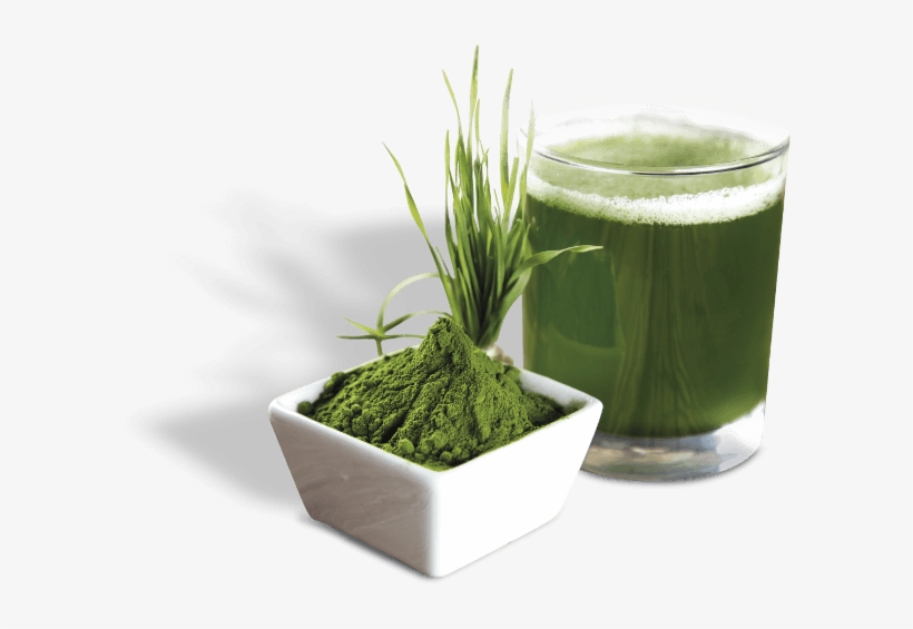 Tablas - Z Natural Foods Barley Grass Powder - Organic 55 Lbs, transparent png