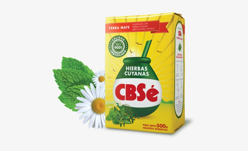 Herbs From Cuyo - Cbse Hierbas Cuyanas, transparent png