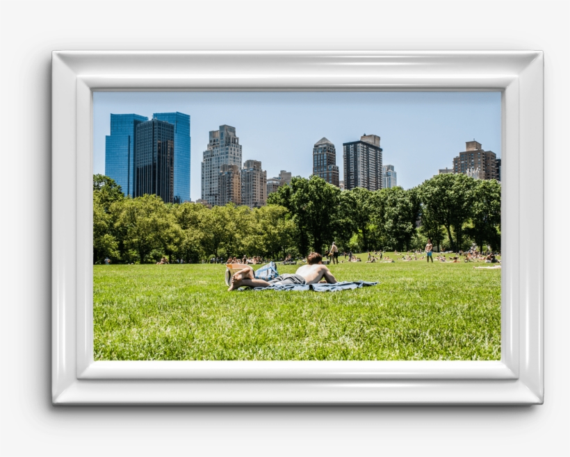 Respirar Cerca Del Suelo Me Ayuda A Engañar A Los Pulmones - Grass, transparent png