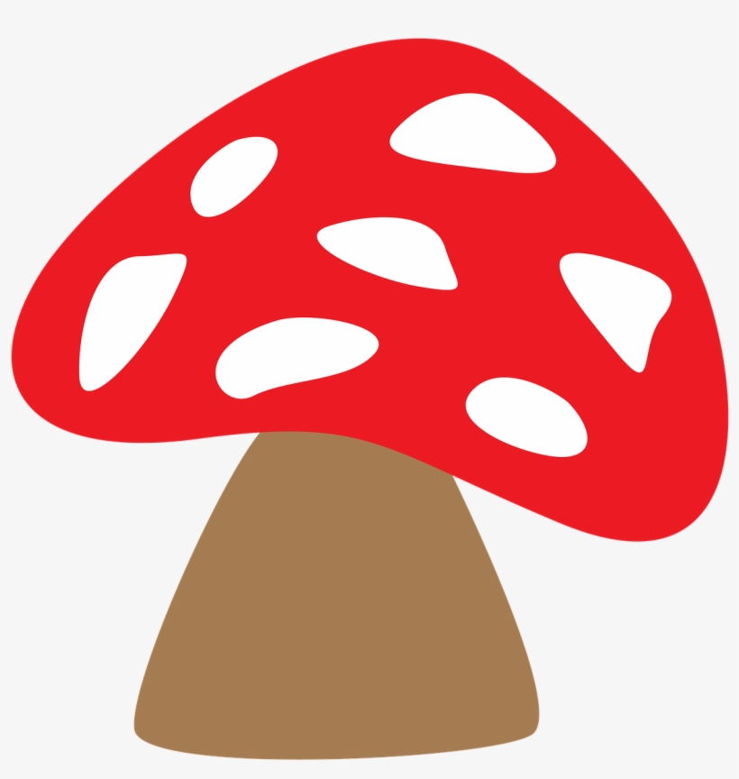 Fungus Mushrooms Tree Fungus - Cogumelos Png, transparent png