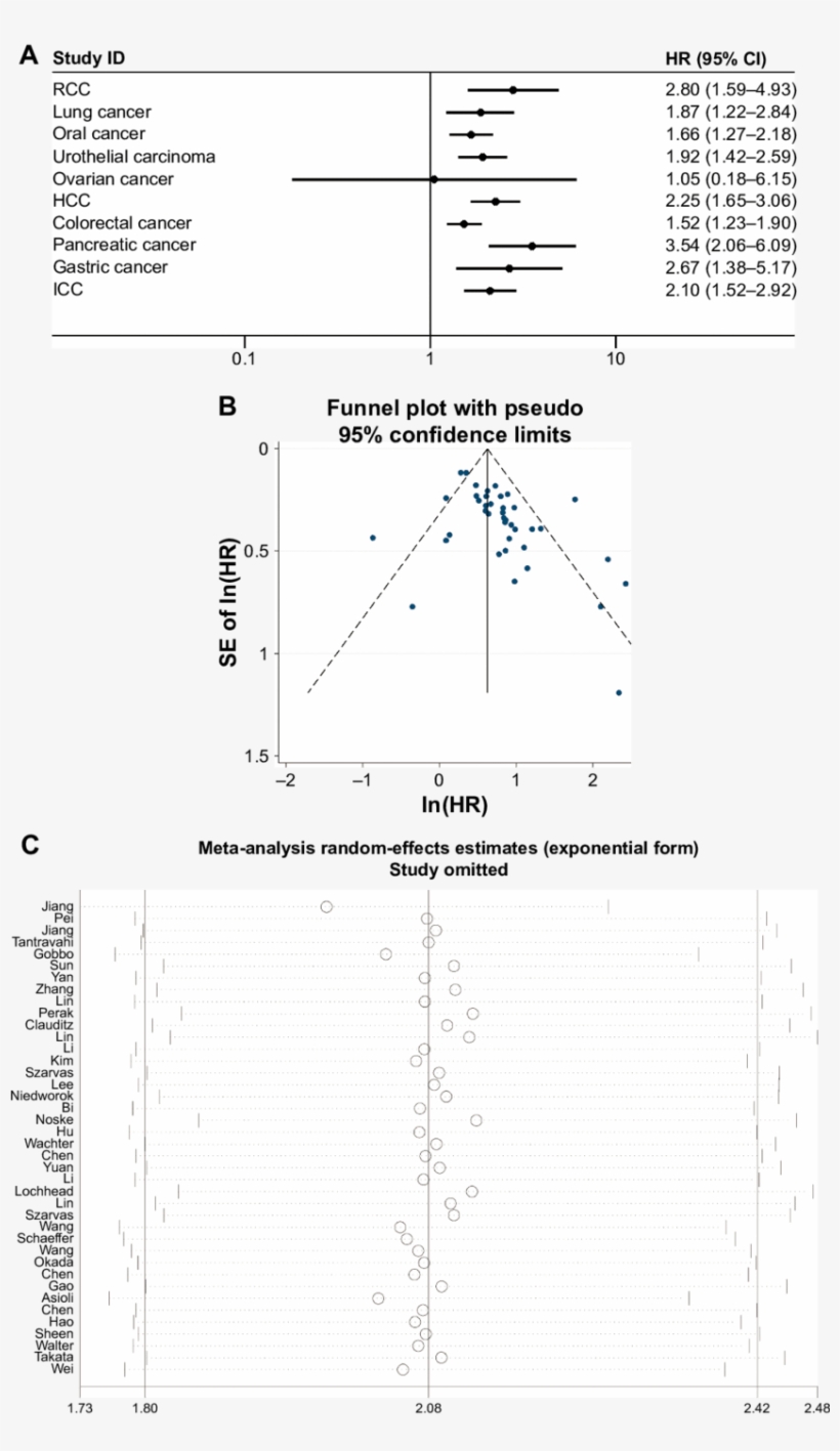 Subgroup Analysis Of Os Stratified By Tumor Types, - Diagram, transparent png