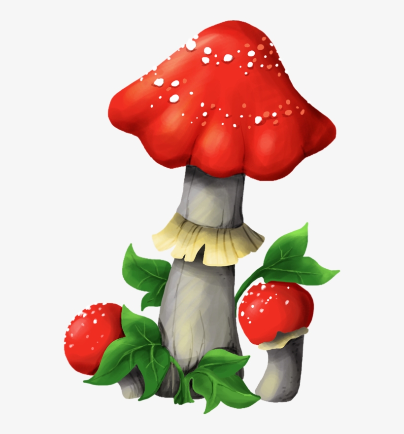 Яндекс - Фотки - Medicinal Mushroom, transparent png