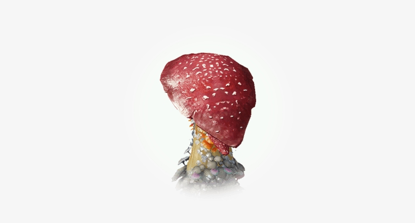Red Skirt Poison Mushroom - Icon, transparent png