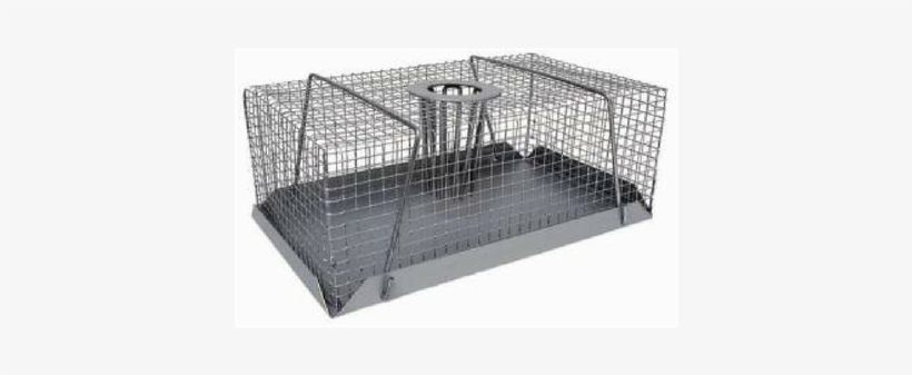Aviary Mouse Trap - Multi Catch Mouse Trap Small, transparent png
