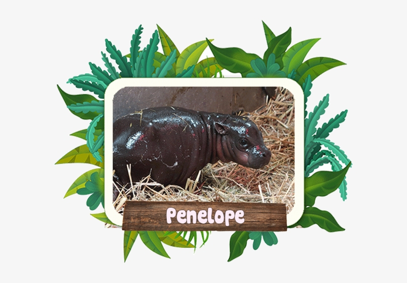 30 Am To - Clip Art, transparent png