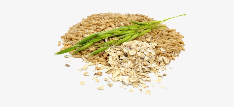 Oat Png Pluspng - La Crusca D'avena, transparent png