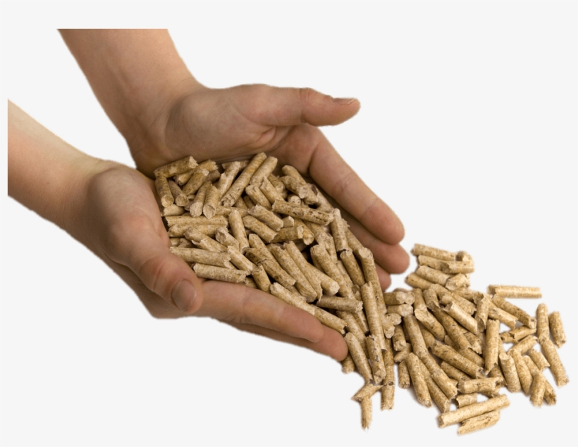 Download - Jiya Eco Products Limited, transparent png