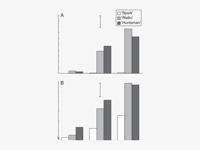 Grain Alpha Amylase Content And (b) Grain Area Of Mature - Diagram, transparent png