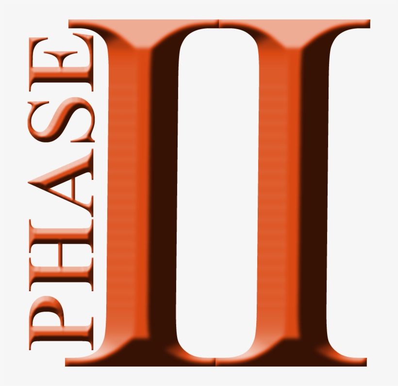 Rtg Urges Fcc To Review Mobility Fund Phase I Results - Phase 2 Clip Art, transparent png