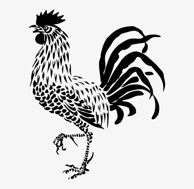 Rooster, Poultry, Bird, Animal, Proud, Calling, Crow - Rooster Art Black And White, transparent png