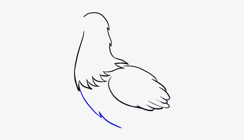 How To Draw Chicken - Drawing, transparent png