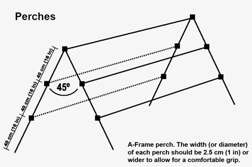 Production - Perch For Chickens, transparent png