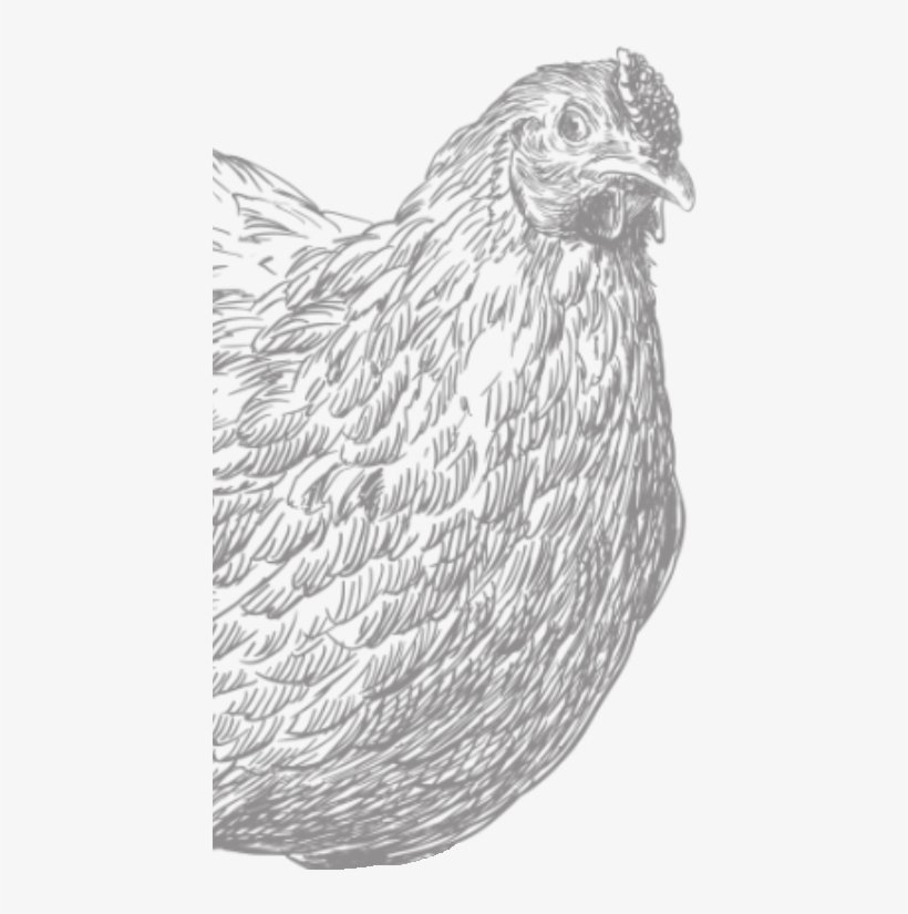 Chicken Bars - Chicken, transparent png