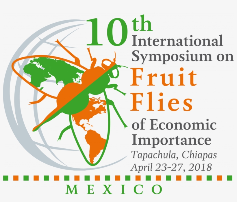El Simposio Internacional De Moscas De La Fruta De - International Renewable Energy Agency, transparent png