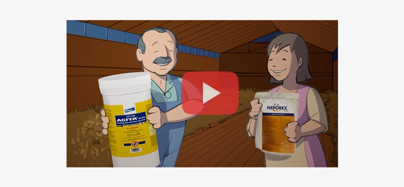 Adios A Las Moscas Con Agita Y Neporex - Cartoon, transparent png