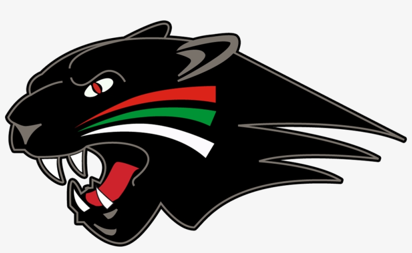 Augsburger Panther Head Logo - Nation Ford High School Falcon, transparent png